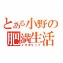 とある小野の肥満生活（メタボリック）