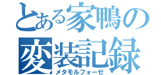 とある家鴨の変装記録（メタモルフォーゼ）