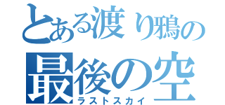 とある渡り鴉の最後の空（ラストスカイ）