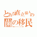 とある直立猿人の歯の移民（再犯多くてグリーンカード除外）