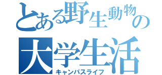 とある野生動物の大学生活（キャンパスライフ）