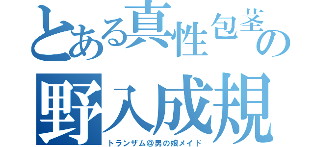 とある真性包茎の野入成規（トランザム＠男の娘メイド）