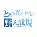 とある真性包茎の野入成規（トランザム＠男の娘メイド）