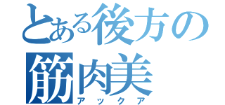 とある後方の筋肉美（アックア）