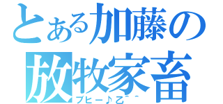 とある加藤の放牧家畜（ブヒー♪乙＾＾）