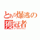 とある爆逃の獲冠者（リーチザクラウン）