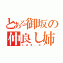 とある御坂の仲良し姉妹（シスターズ）