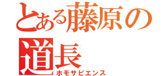 とある藤原の道長（ホモサピエンス）