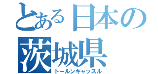 とある日本の茨城県（トールンキャッスル）