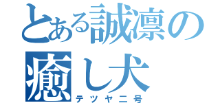 とある誠凛の癒し犬（テツヤ二号）