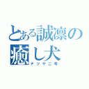 とある誠凛の癒し犬（テツヤ二号）