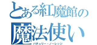 とある紅魔館の魔法使い（パチュリー・ノーレッジ）