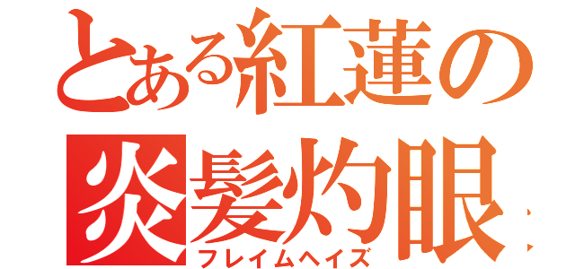 とある紅蓮の炎髪灼眼（フレイムヘイズ）