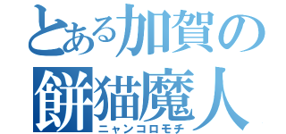 とある加賀の餅猫魔人（ニャンコロモチ）