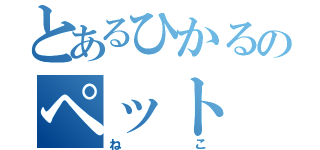 とあるひかるのペット（ねこ）