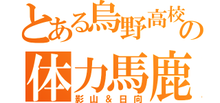 とある烏野高校の体力馬鹿（影山＆日向）