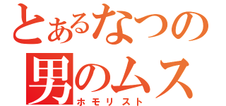 とあるなつの男のムスメ（ホモリスト）