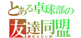 とある卓球部の友達同盟（終わらない絆）