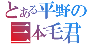 とある平野の三本毛君（）