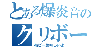 とある爆炎音のクリボー（柿ピー美味しいよ）