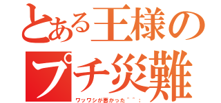 とある王様のプチ災難①（ワッワシが悪かった＾＾；）