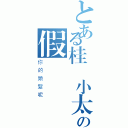 とある桂 小太郎の假髮（你的頭髮呢）