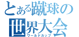 とある蹴球の世界大会（ワールドカップ）