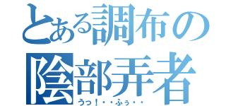 とある調布の陰部弄者（うっ！・・ふぅ・・）