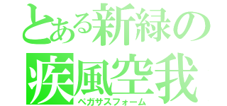 とある新緑の疾風空我（ペガサスフォーム）