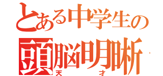 とある中学生の頭脳明晰（天才）