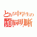 とある中学生の頭脳明晰（天才）