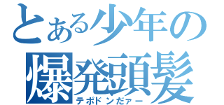 とある少年の爆発頭髪（テポドンだァー）