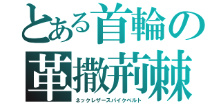 とある首輪の革撒荊棘（ネックレザースパイクベルト）