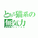 とある猫系の無気力（フリーダム）