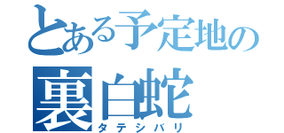 とある予定地の裏白蛇（タテシバリ）