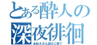 とある酔人の深夜徘徊（おねえさん迎えに来て）