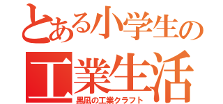 とある小学生の工業生活（黒凪の工業クラフト）