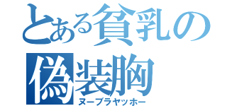 とある貧乳の偽装胸（ヌーブラヤッホー）