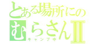 とある場所にのむらさんⅡ（キャンプ中）