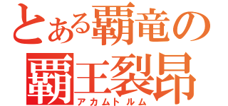 とある覇竜の覇王裂昂（アカムトルム）