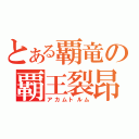 とある覇竜の覇王裂昂（アカムトルム）