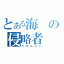 とある海の侵略者（イカムスメ）