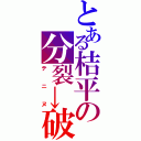 とある桔平の分裂→破壊（テニヌ）