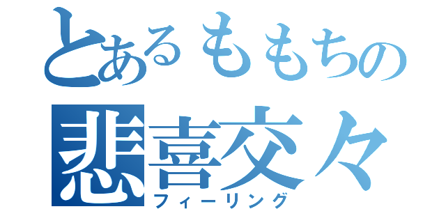 とあるももちの悲喜交々（フィーリング）