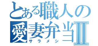 とある職人の愛妻弁当Ⅱ（サラメシ）