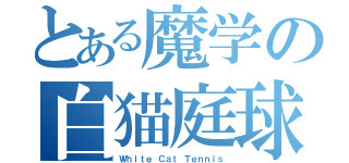 とある魔学の白猫庭球（Ｗｈｉｔｅ Ｃａｔ Ｔｅｎｎｉｓ）