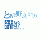 とある野良さんの結婚（おめでとう！！！）