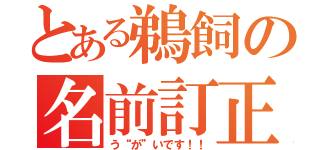 とある鵜飼の名前訂正（う“が”いです！！）