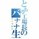 とある工場長のバナナ生産（フィリピン）