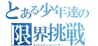 とある少年達の限界挑戦（エンドレス☆ハンバーガー）